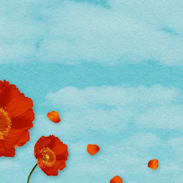 雷火电竞棋牌游戏